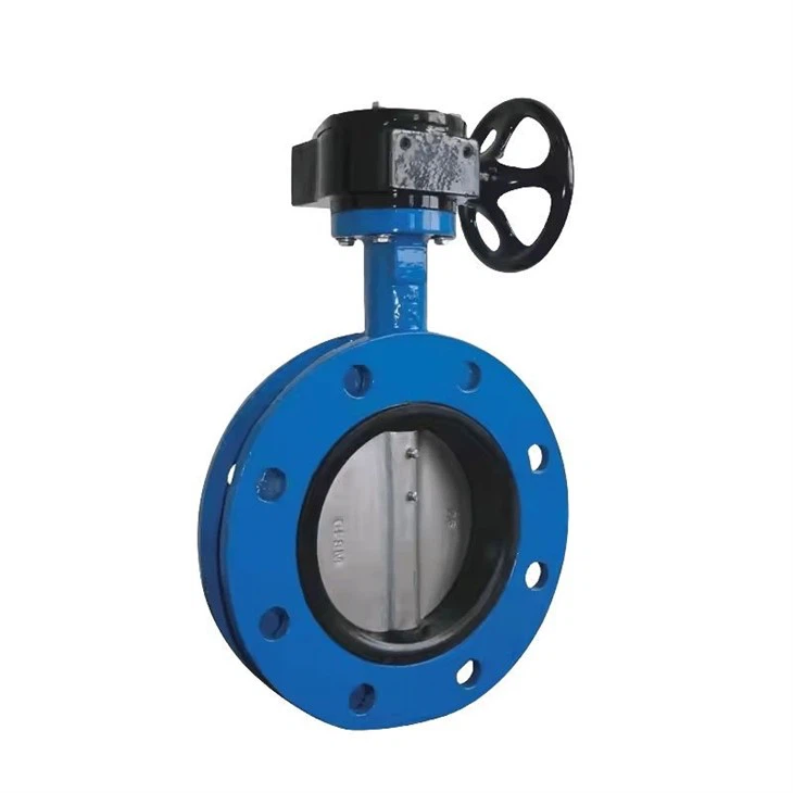 butterfly valve 2